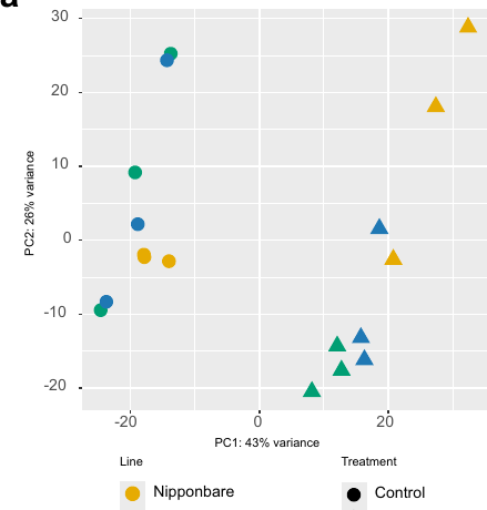 PCA plot from Fernandes et al. 2024 separating rice SLR1 and SUMO1-SLR1 lines by genotype and salt treatment